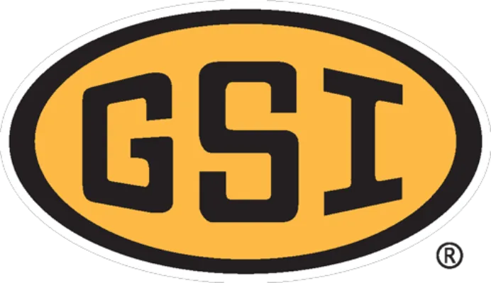 GSI